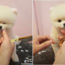 황비미용실 이미지