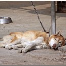 만사목장 이미지