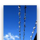 옥수골 마을 이미지