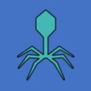 대조-004 이미지