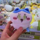 산유천 | 먼작귀보러 국제전자센터 다녀온 후기