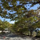 선녀와나무꾼 | 제천 선녀와 나무꾼 캠핑장 후기 | 가족 할로윈 캠핑 10/24~27