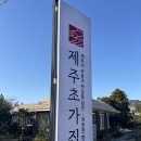 화순재래시장 | 제주도 혼자 3박 4일 여행 4일차 (효은양갱🍊, 도코도코클럽, 디디다, 제라헌오메기떡)