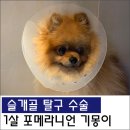 원당동물병원 이미지