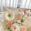 소클레르