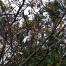 소사리경로당 이미지