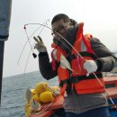 참새콘도민박 이미지