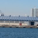 세기 태양광발전소 이미지