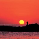 백두약국 이미지