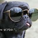 열폭