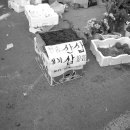 모란5일장 이미지