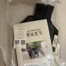 펫츠데이 | 펫츠오앤피 강아지 허리디스크 척추보조기 후기 내돈내산 수의사추천 받음