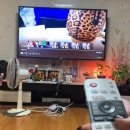 본가푸드2