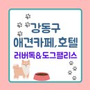 러버독&도그팰리스 네이버블로그