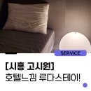 루다스테이