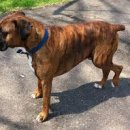 이로동물의료센터 이미지