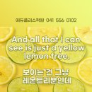 그루잉글리쉬학원