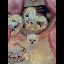 멍글하우스 이미지