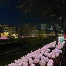 함박가든 이미지