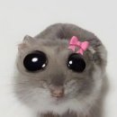 진주사누끼 이미지