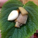 전주곰장어 이미지