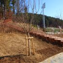 명곡체육공원 이미지