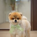 스위프트살롱 이미지