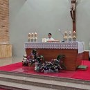 4월 12일[부활 제2주일(하느님의 자비 주일)] 산부님 강론 이미지