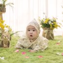 애플주니스튜디오 이미지