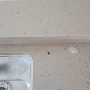 대우정수기 이미지