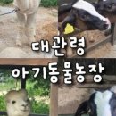 부어치킨강릉포남점