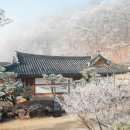 조선 왕가 이미지