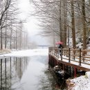 장태산휴양림 이미지