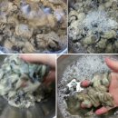 파도의숨결 | 섬바다의 숨결이 느껴지는 통영 굴 택배업체로 알게된 생굴 세척법과 가격을 추천