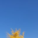 남한강 고운골 자연학습원 이미지