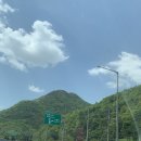 주말 충주에서 가까운 괴산 소풍/드라이브/괴산테마파크/괴산팜바라기카페/괴산꼬막짬뽕