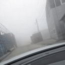 일반화물 티스토리