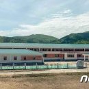 전진목장 이미지