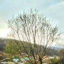 웰그린농장 이미지