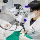 연세휴치과의원 이미지