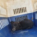 상옥리경로당 이미지