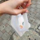 시나타코야끼 | 부천역 시나타코야끼 방문후기