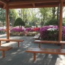 무궁화건영 이미지