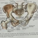리헬브짐 이미지