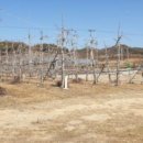 기호보건진료소 이미지