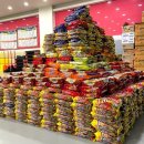 파워태권도 이미지