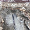 미스터최 | 강서구 누수는 미스터최 누수탐지에 의뢰했어요! 빠르고 깔끔하게 해결했어요~