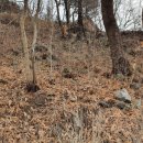 저산성猪山城 이미지