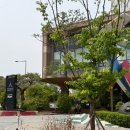 뉴프로 | 아주대 맛집 규카츠 광교 아브뉴프랑 규엔당 점심추천