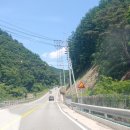 용호강황토